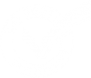 ISO 9001 Zertifikat Logo