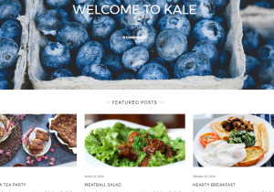 Wordpress Theme Kale